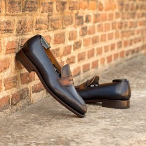 Versatile Goodyear Brown and Navy Loafers